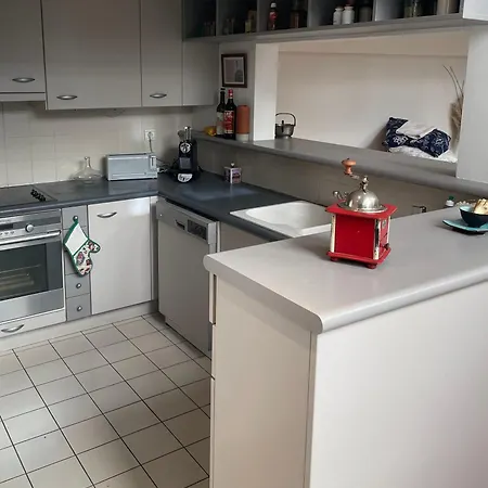 Appartement Loft With View On A Quiet Garden, Parisian Charm *